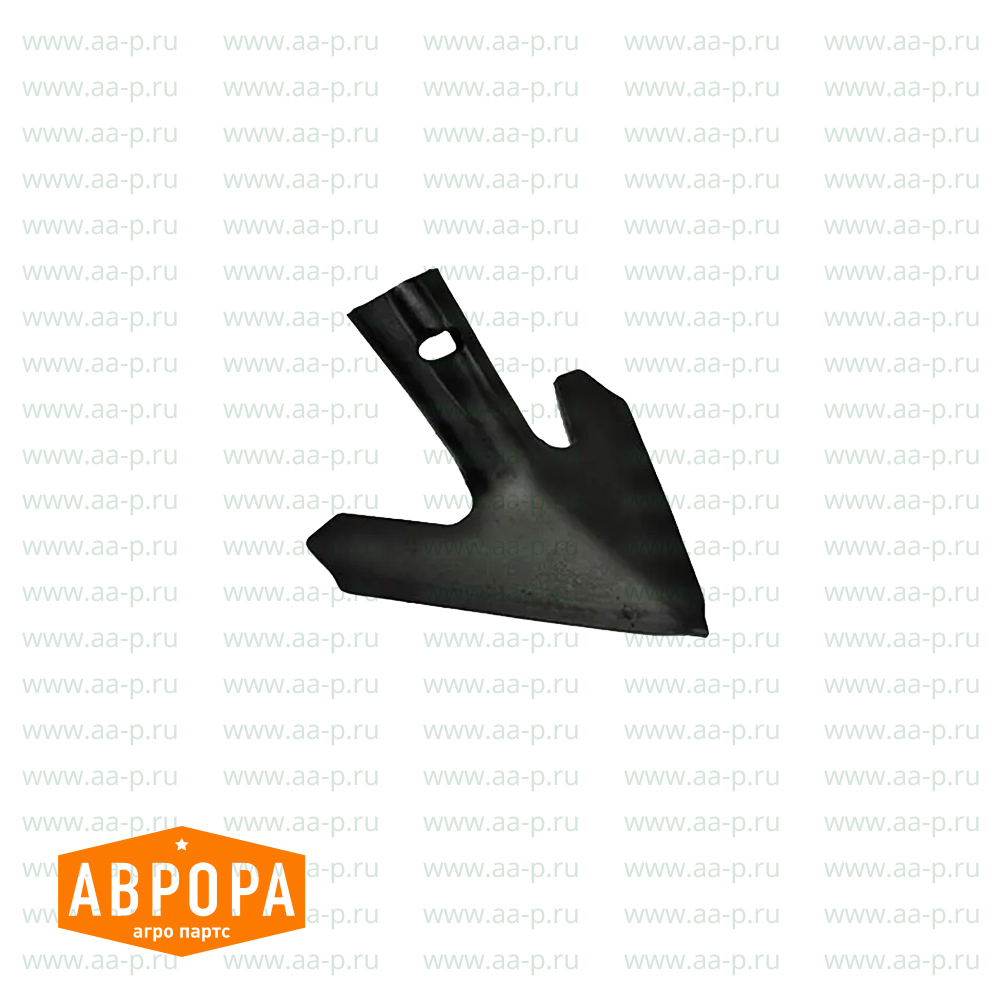 N238335 СТРЕЛЬЧАТАЯ  ЛАПА